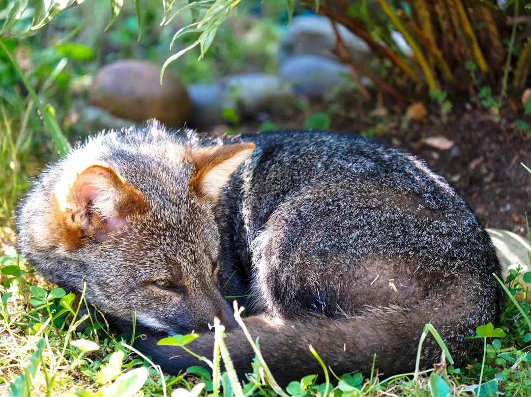 Origenes Tour-Quellon必去景点