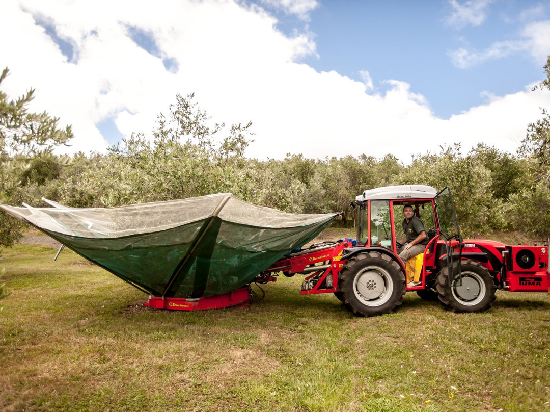 Simunovich Olive Estate-Bombay必去景点