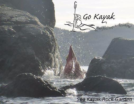 Go Kayak Sea Kayak Instruction景点图片