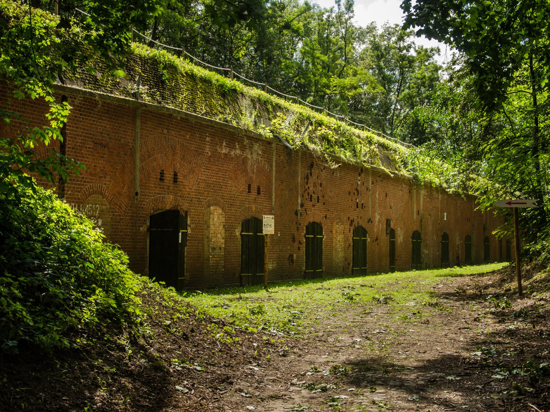 Fort Wielka Ksieza Gora景点图片