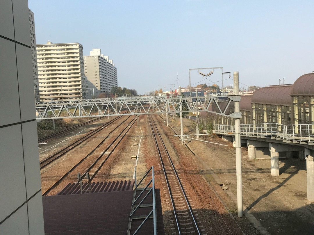 Elfin Park-北广岛市必去景点