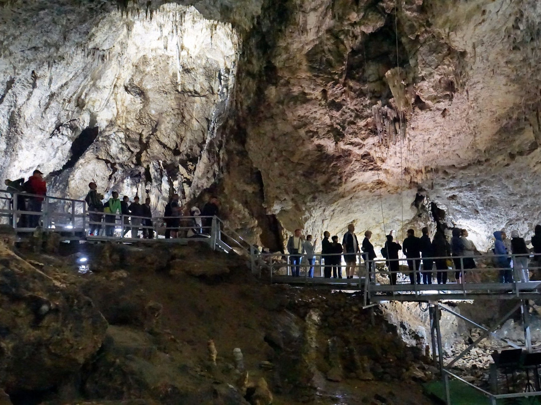 Valea Cetatii Cave景点图片
