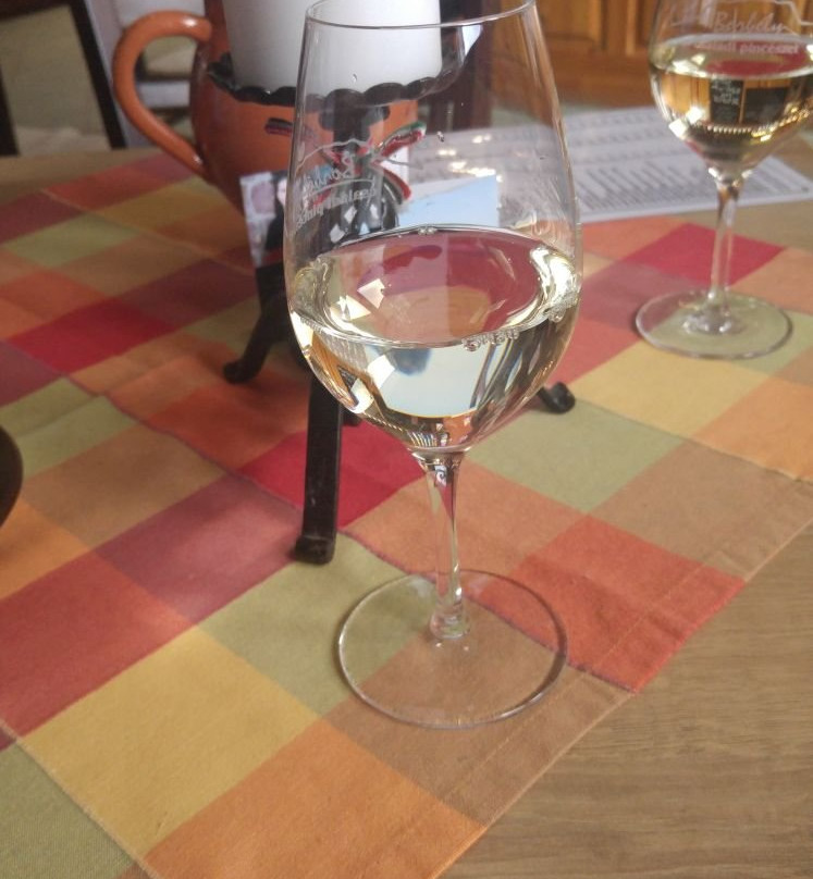 Borbely Csaladi Pinceszet景点图片
