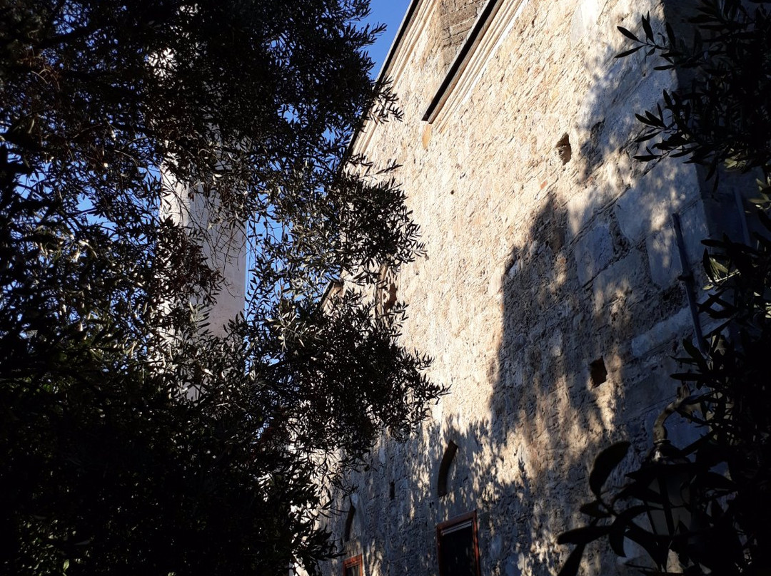 Dalyan Cami景点图片