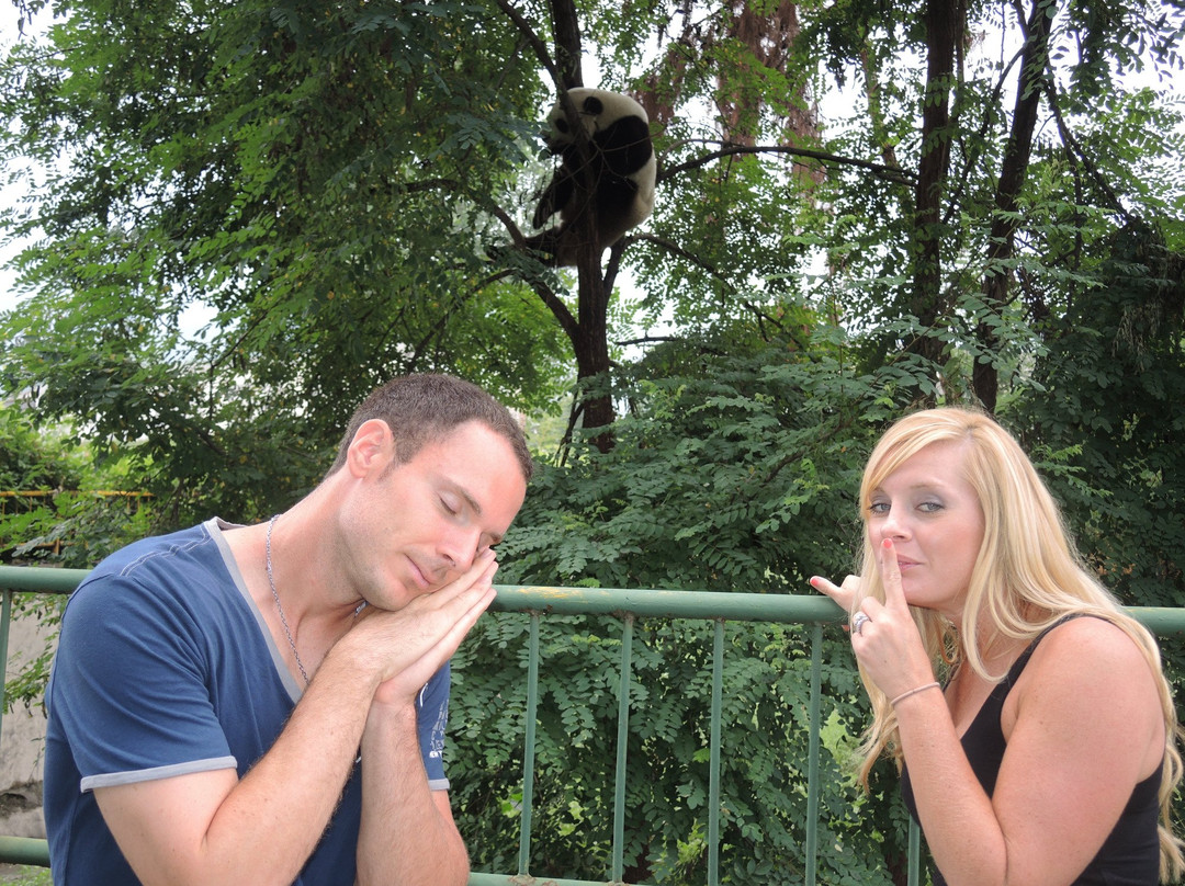 Ancient Xi'an Travel-西安市必去景点