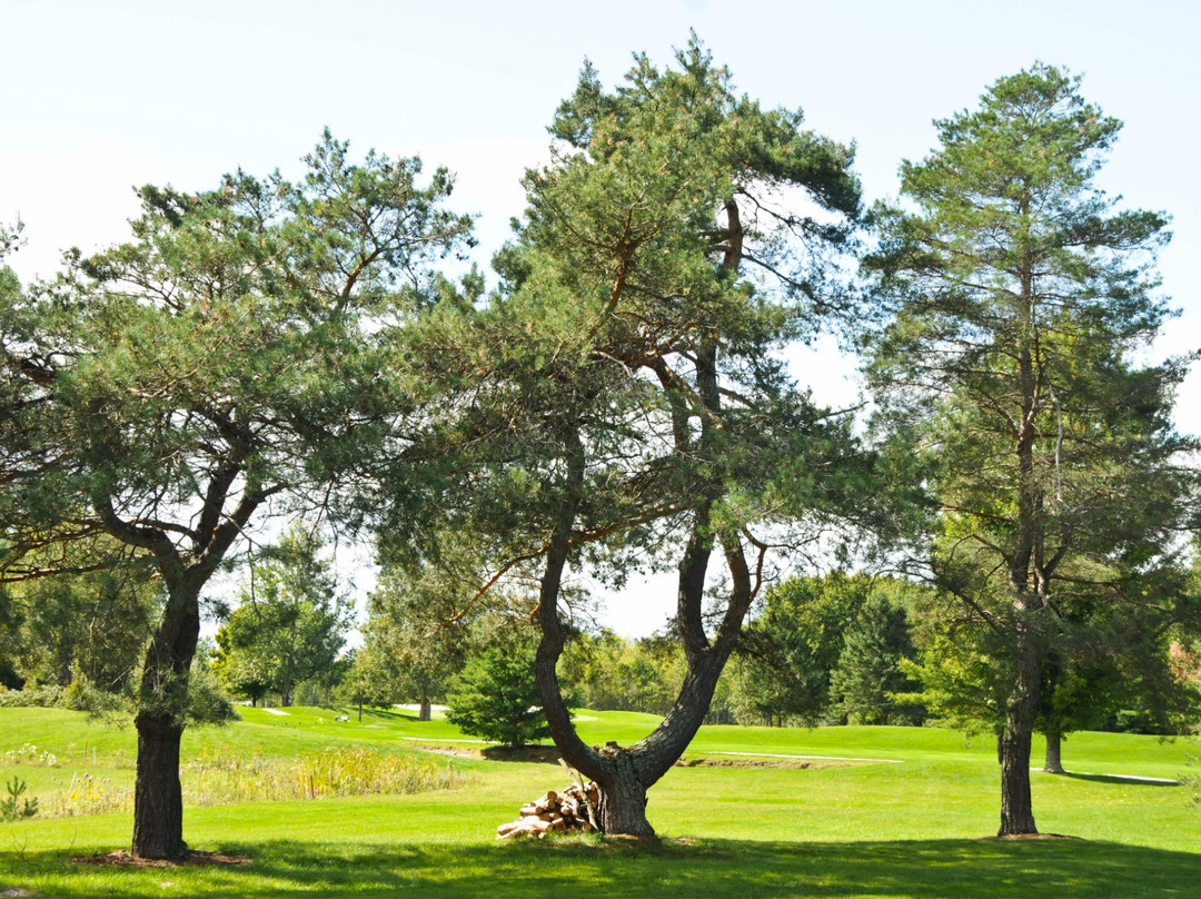 Perth Golf Course-Perth必去景点