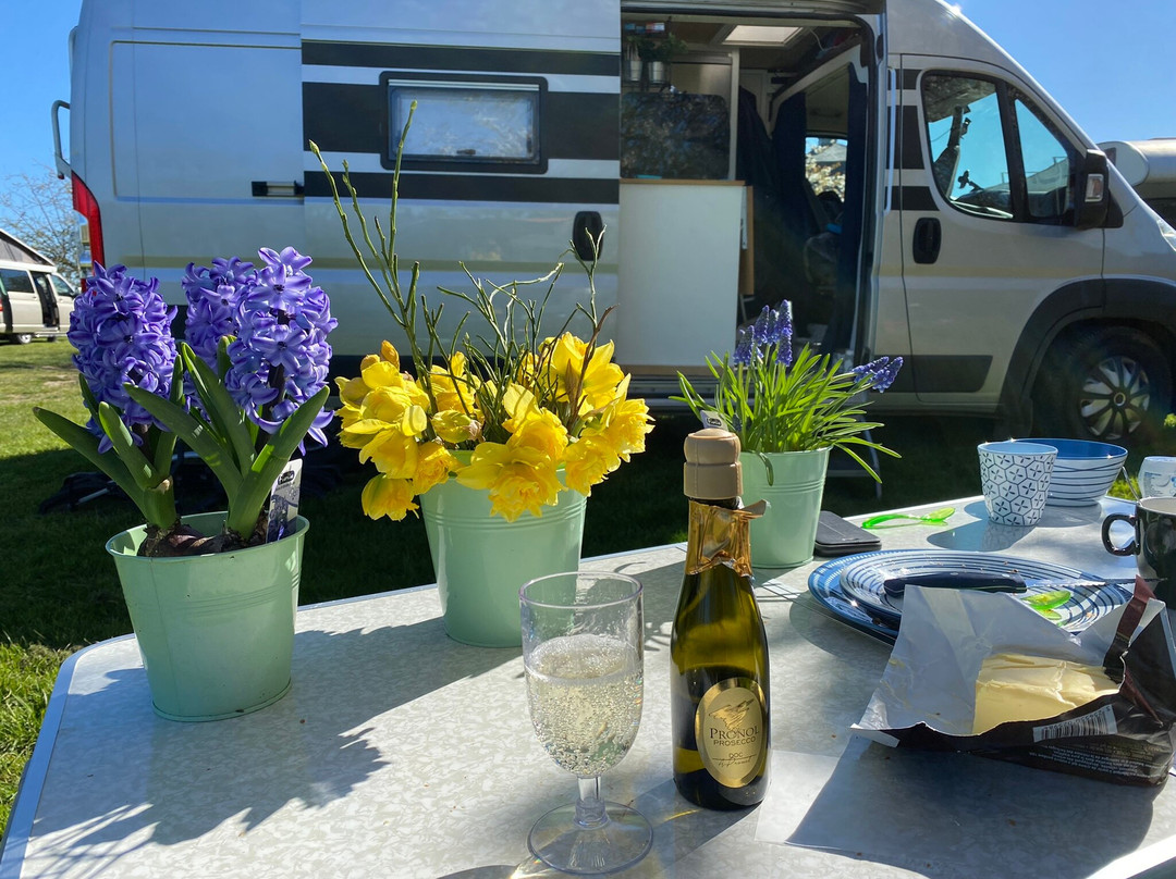 Boerderijcamping de Kloostermuur