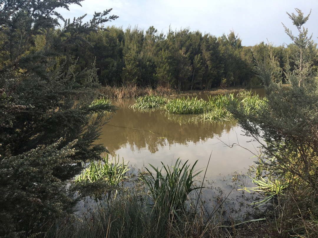 Botanic Ridge Wetlands-Cranbourne必去景点