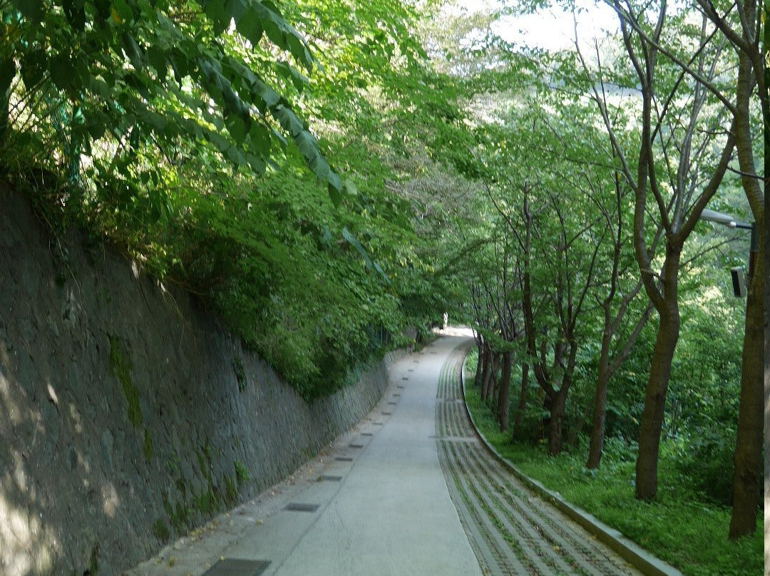 Bongnae Falls-郁陵郡必去景点