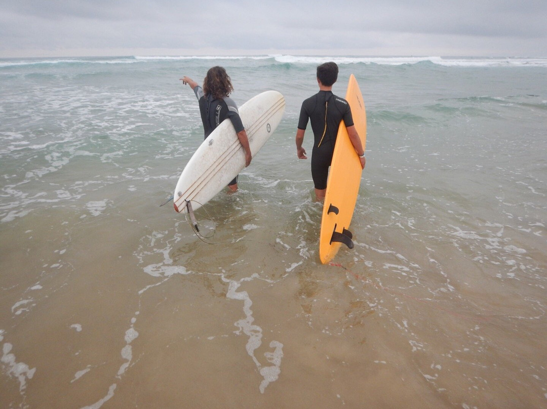 Aquality Surf School景点图片