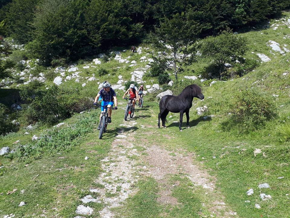 E-bikes Kobarid景点图片