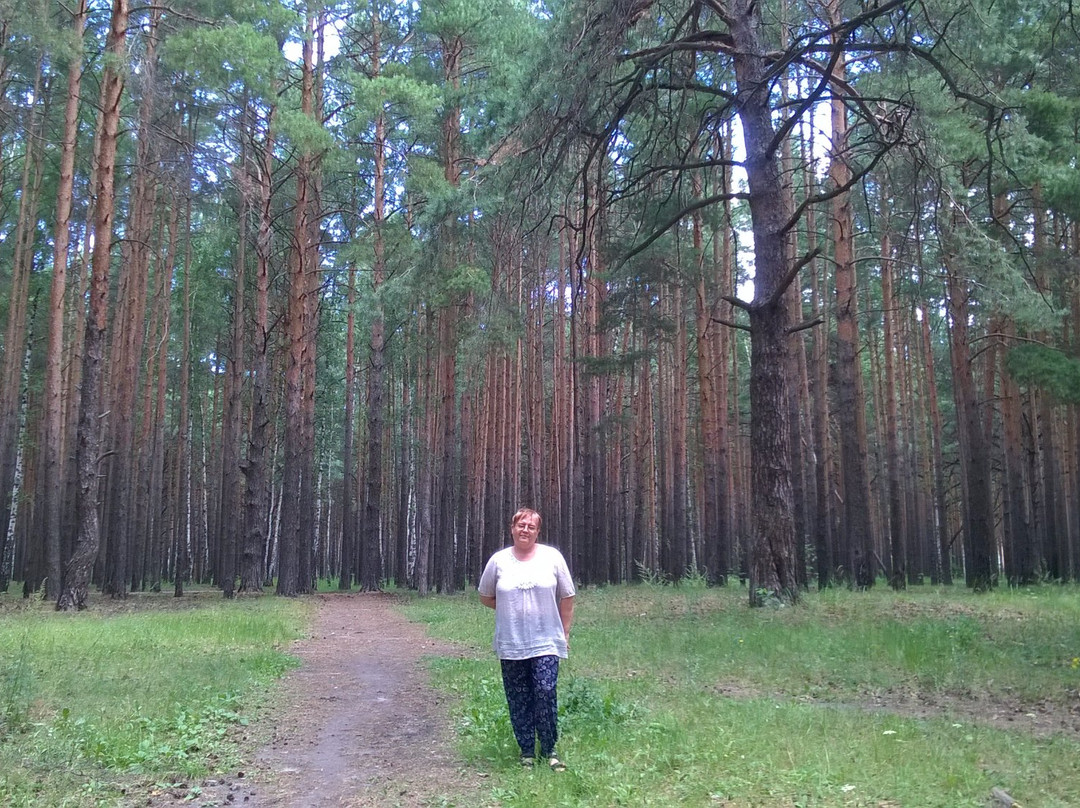 Forest Park of Gagarin-秋明必去景点
