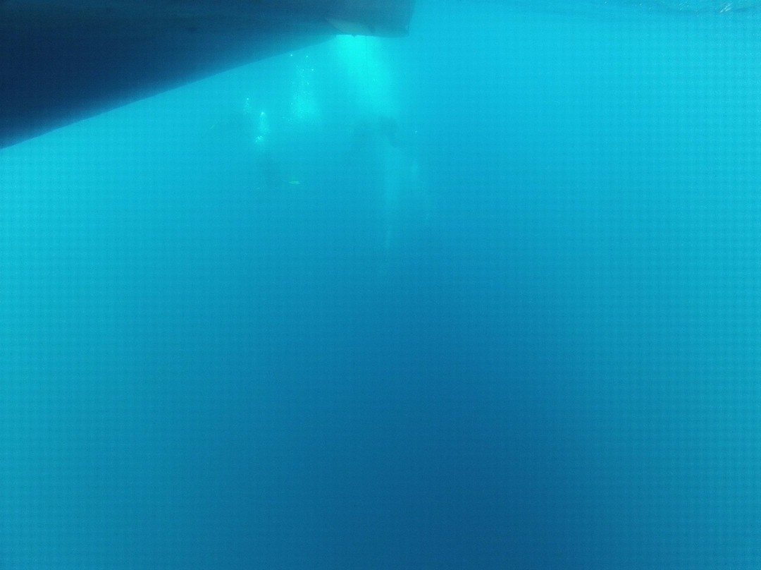 Kuzey Mavi Diving Center景点图片