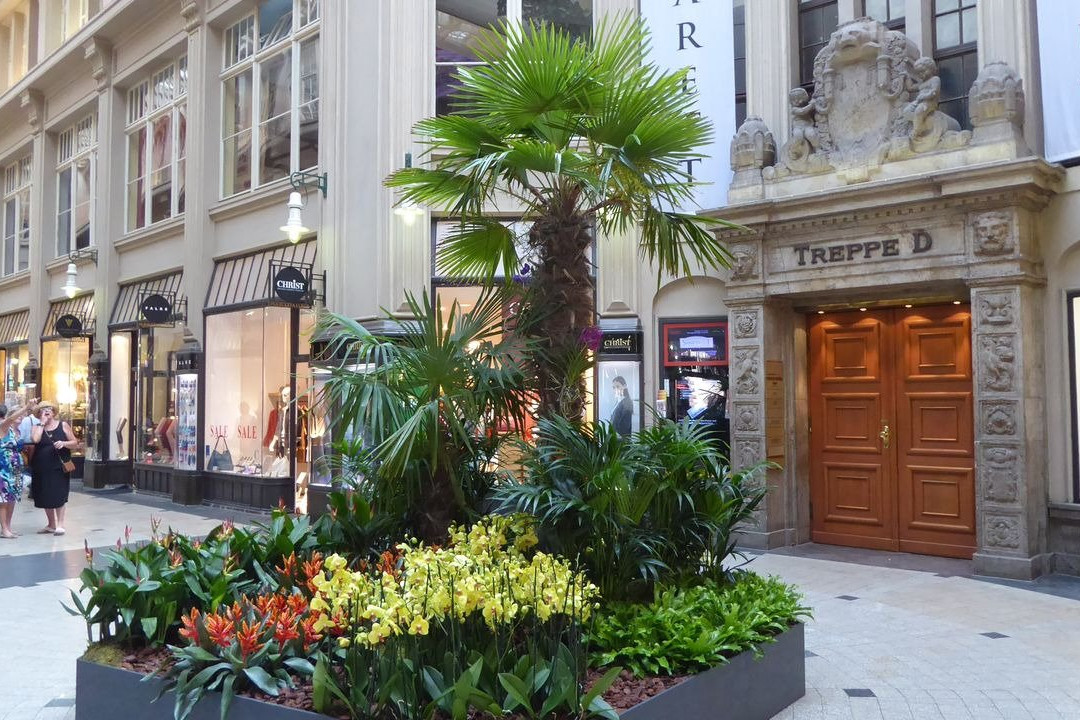 Madle- Passage