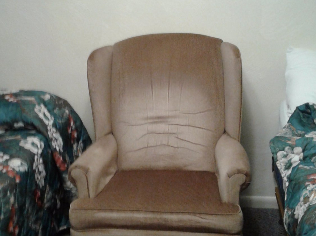 The Cedars Motel主图