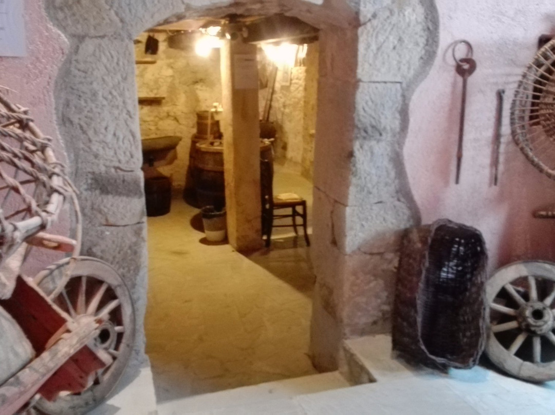 Museo Iola di Montese景点图片