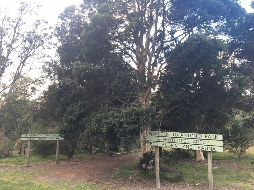 Antonio Park-Mitcham必去景点