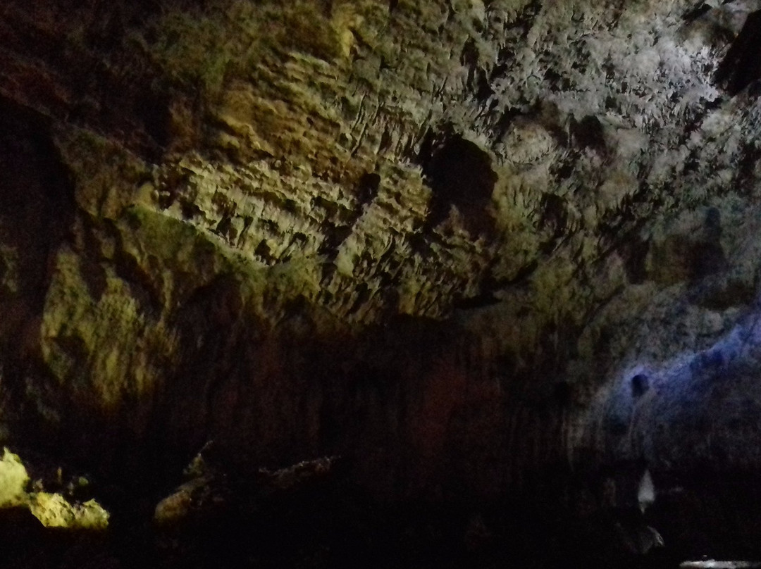 The Bat Cave-Jerzmanowice必去景点