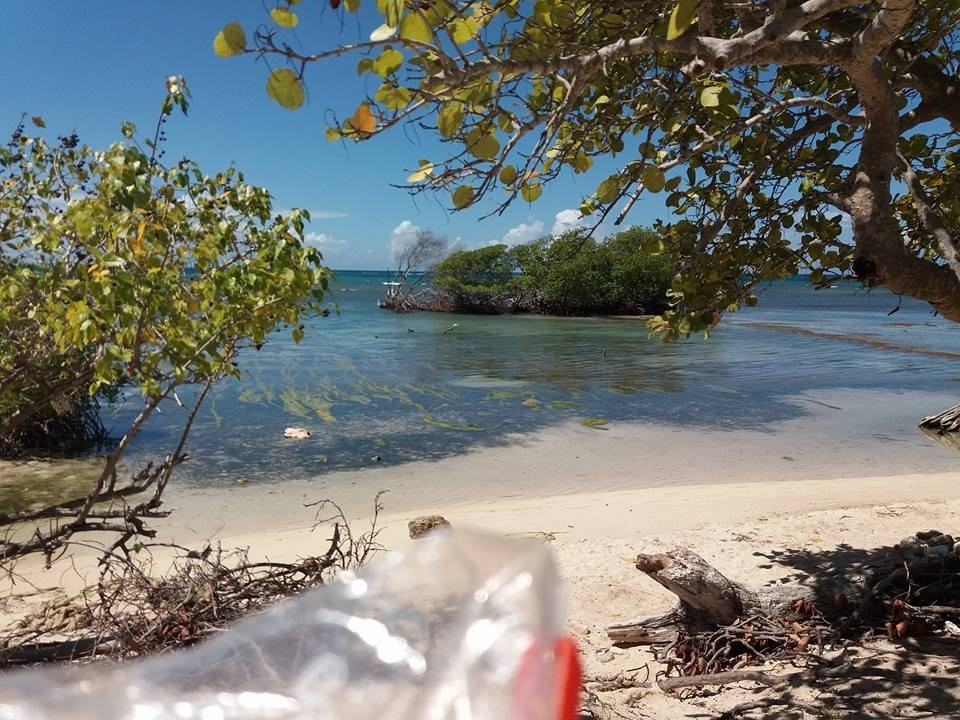 Playa Manglillo-Guanica必去景点