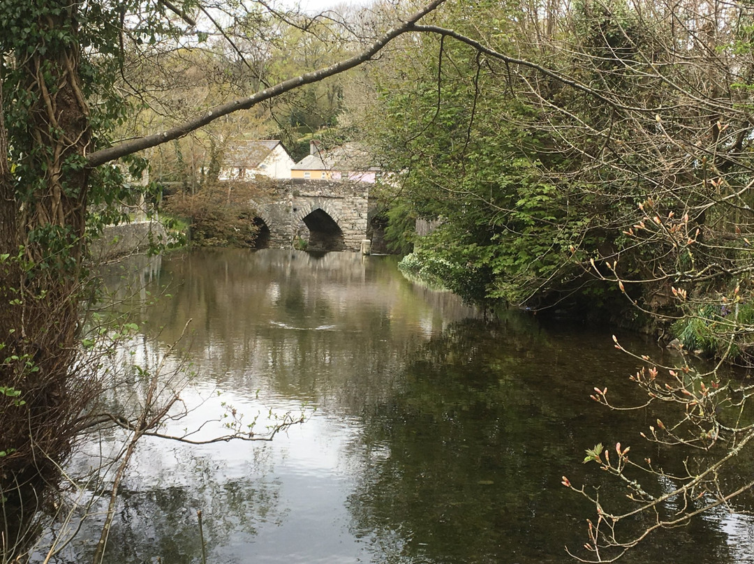 Wildwood Arts Dartmoor景点图片