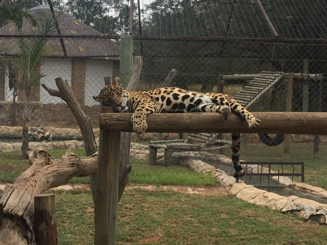 Caesar's Bush Palace-瓦尔沃特必去景点