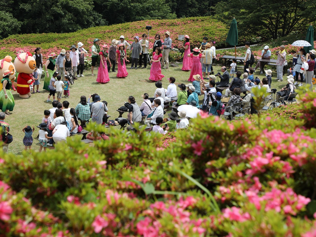 Hoshigayama Park Satsuki no sato-汤河原町必去景点