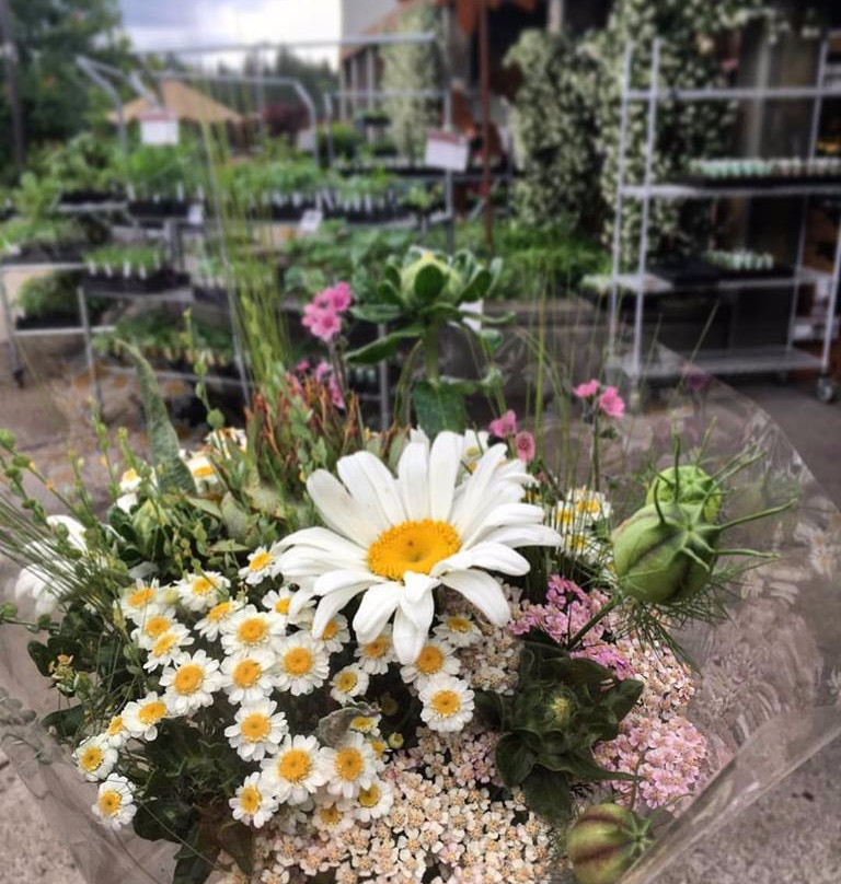 BriarPatch Food Co-op