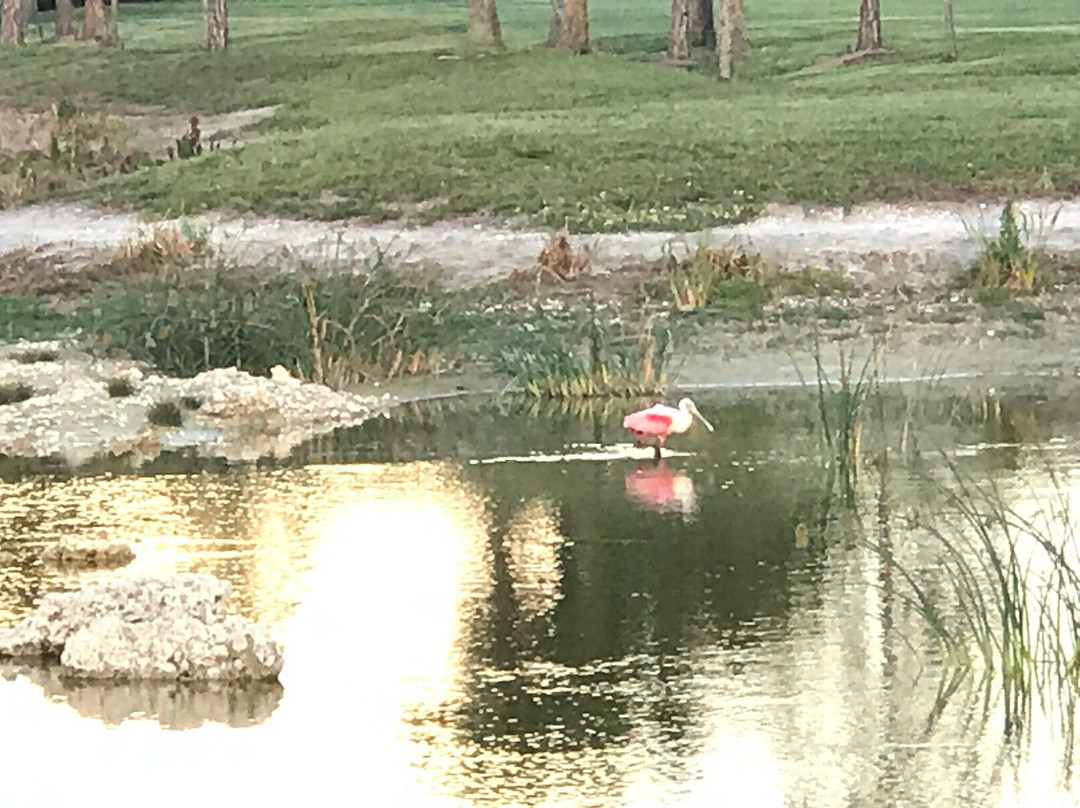 Tom Bennett Park-布雷登顿必去景点