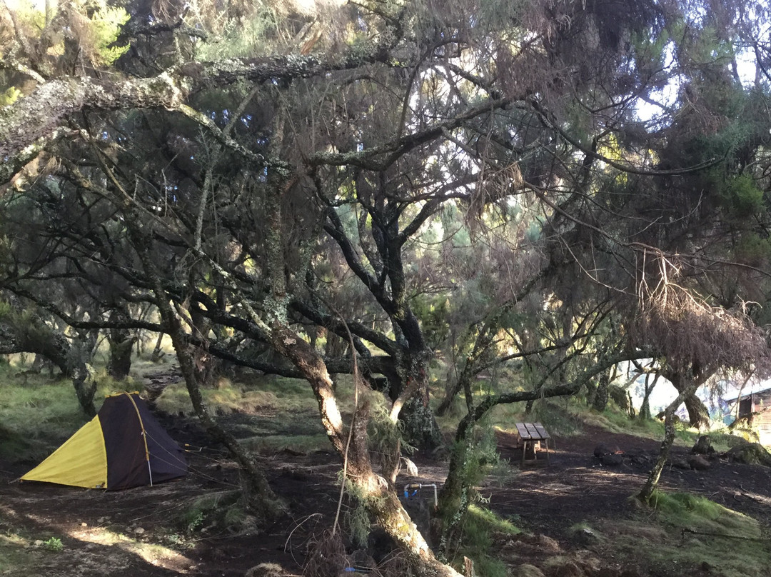 Mount Elgon National Park-Bungoma必去景点