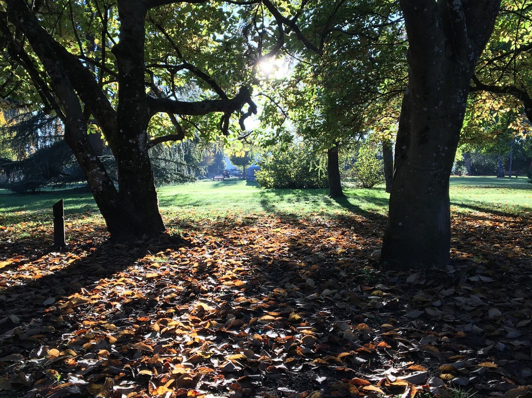 Parc Jean Rameau-Mont-de-Marsan必去景点