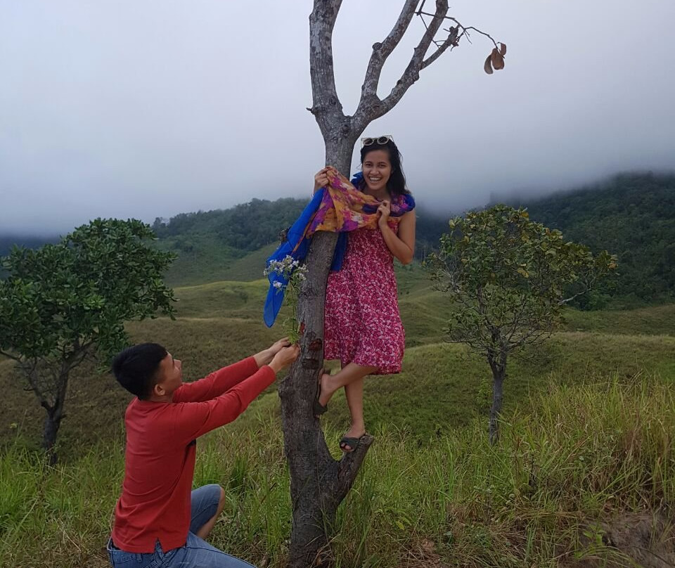 Teletubbies Hill景点图片