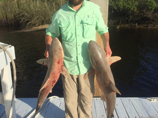 Tailn' Tides Charters-美特尔海滩必去景点