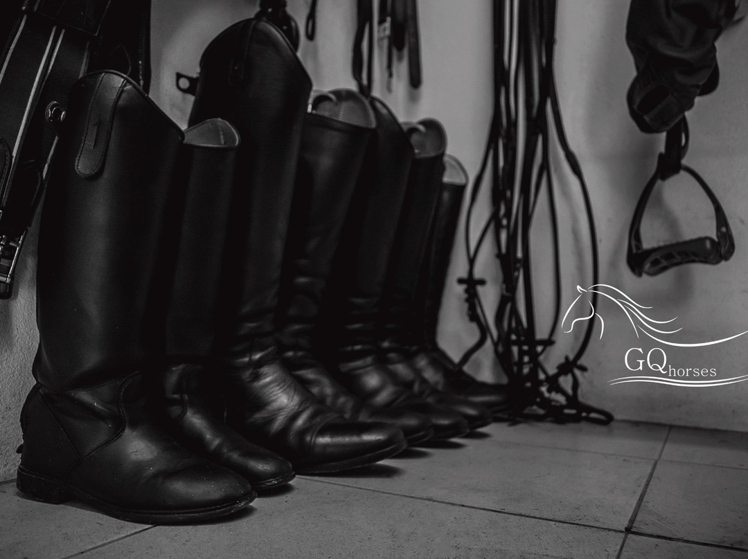 GQhorses-Gafanha da Boa-Hora必去景点