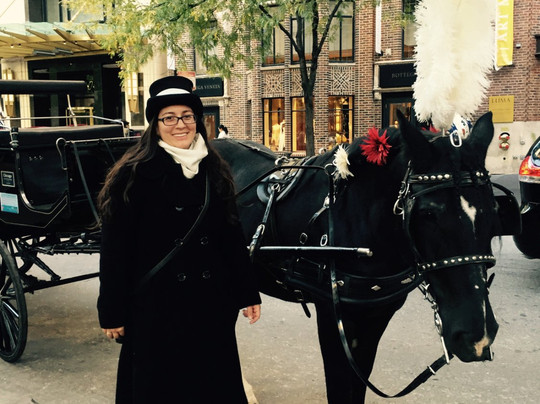 Chicago Horse and Carriage-芝加哥必去景点