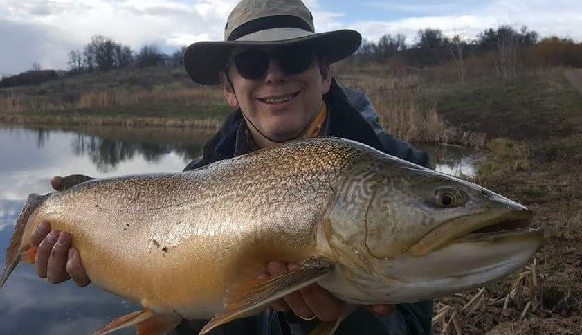 Harcourt Fly Fishing 3G-New Castle必去景点