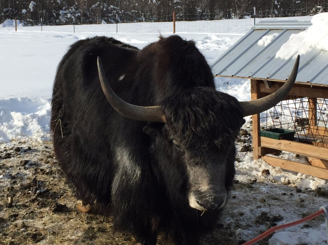 Arctic Roots Farm B & B主图