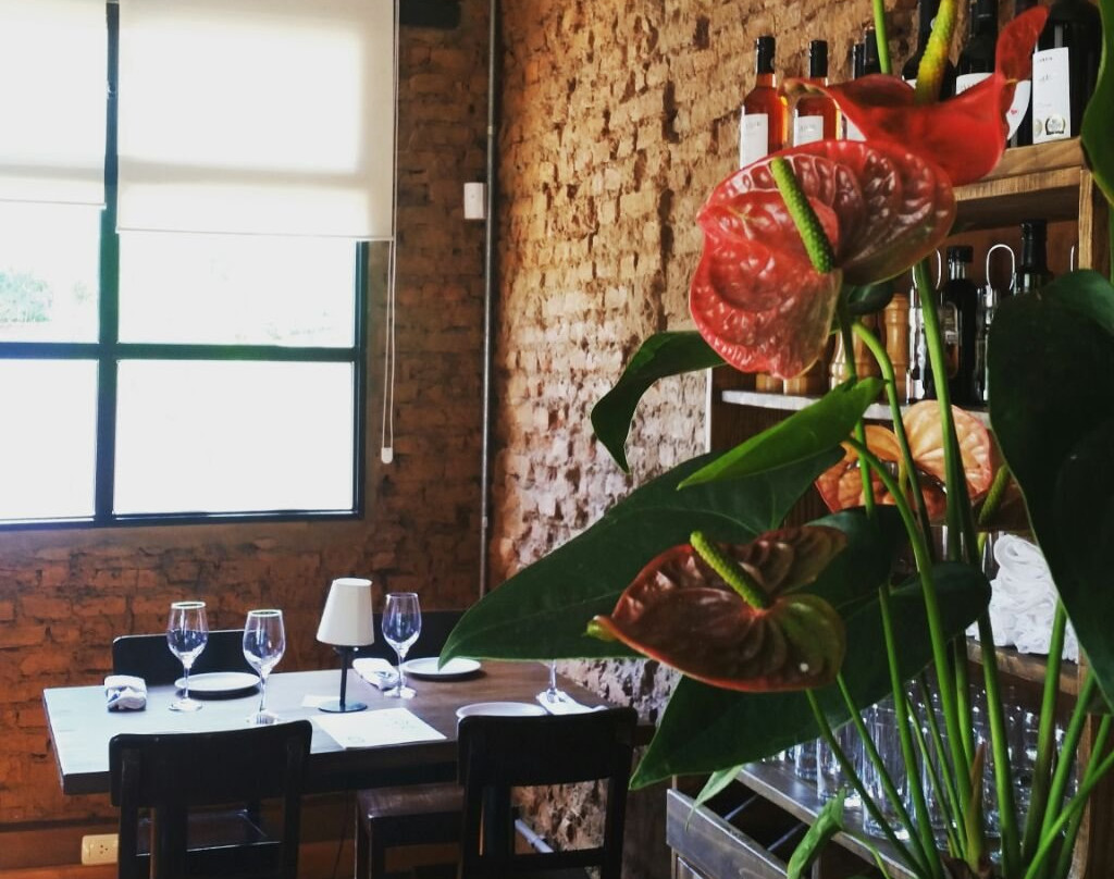 Salto餐馆和美食-Isidoro