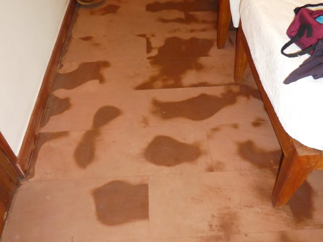 The Linta's Golden Beach主图