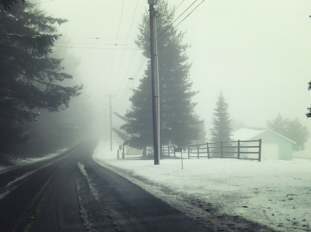 Bald Peak State Park-希尔斯伯勒必去景点
