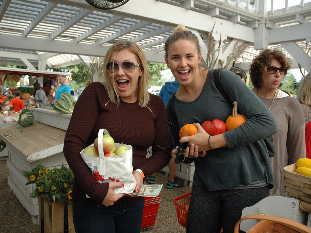 East End Bike Tours-Mattituck必去景点