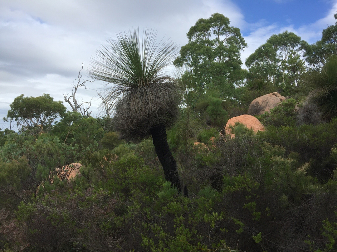 Mount Cooke-Darling Downs必去景点