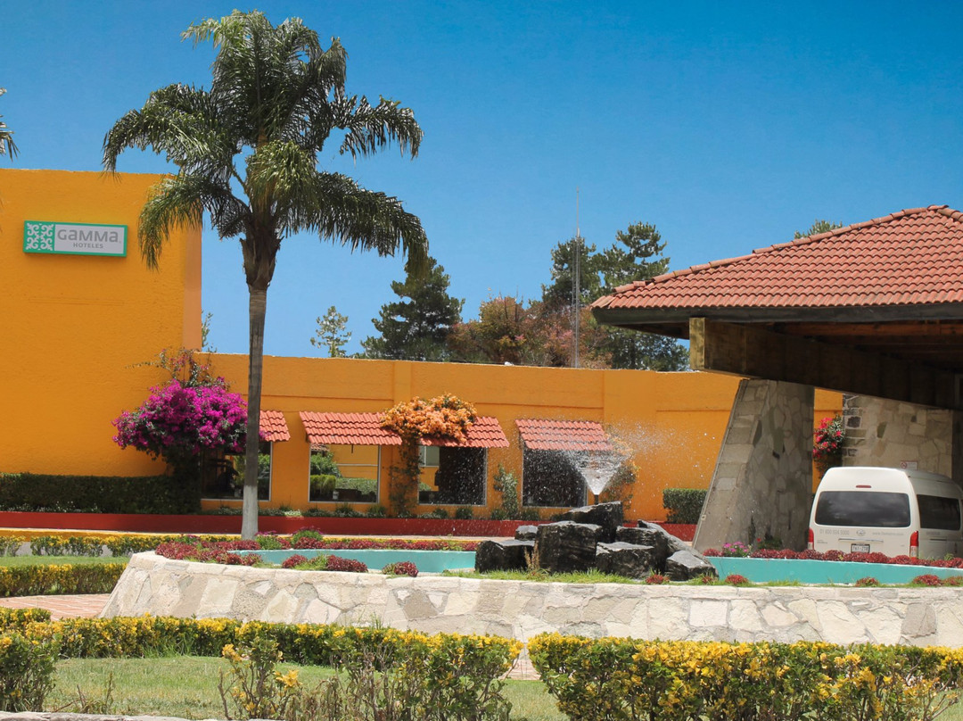 伊达尔戈酒店住宿-Gamma Pachuca