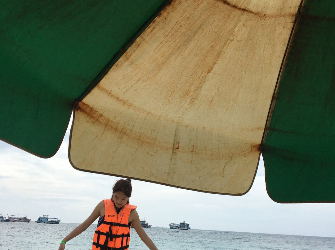 Easy Divers - Koh Nang Yuan-南园岛必去景点