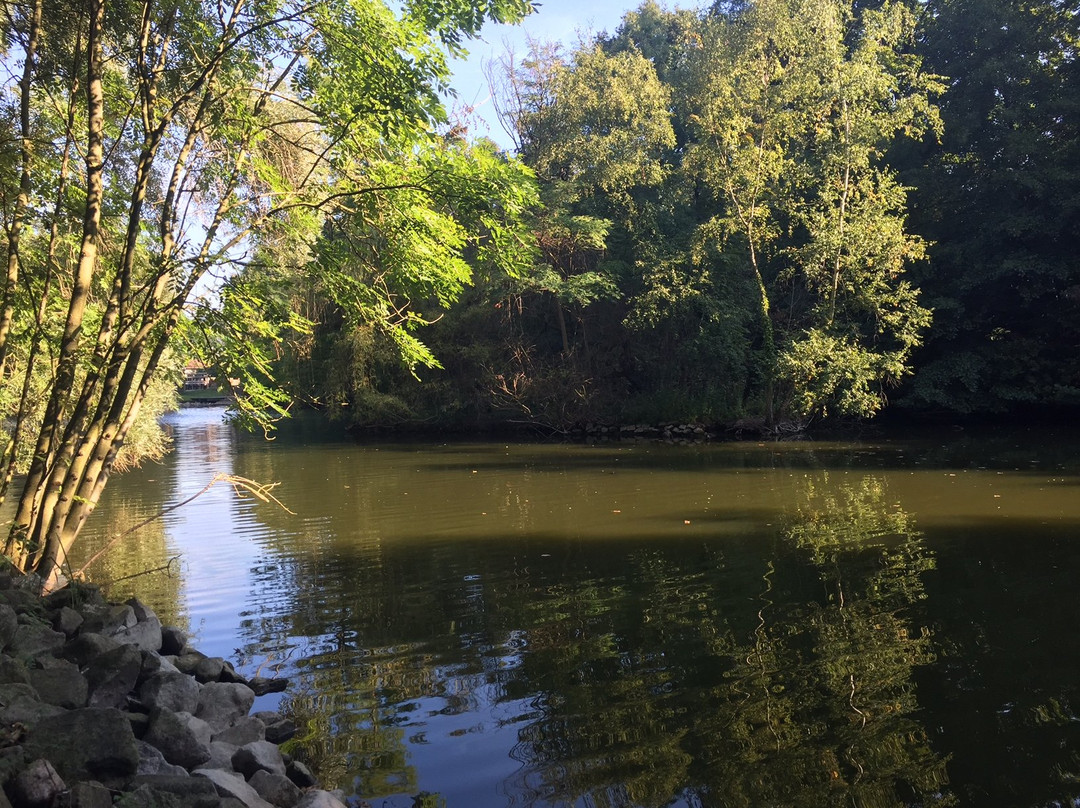 Stadtpark景点图片