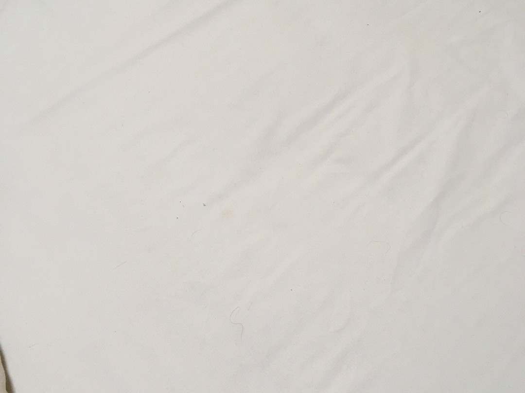 The Castle / Y Castell Pwllheli主图