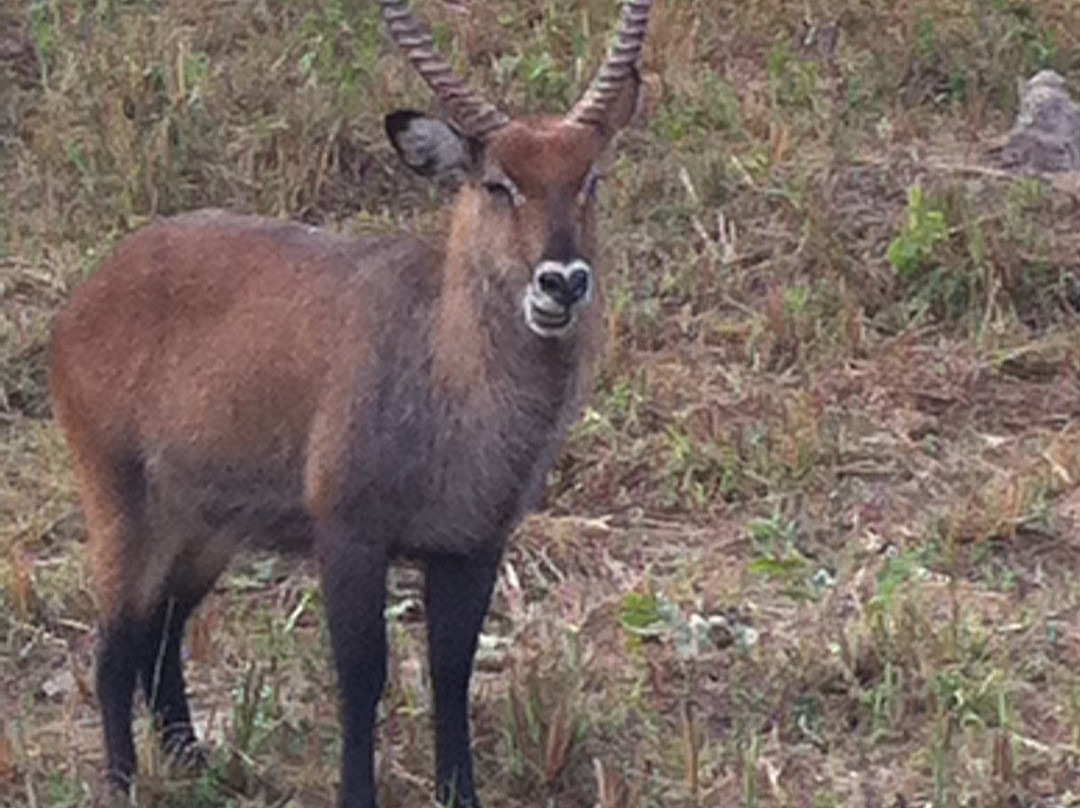 African Adventure Tours - Day Tours-Fajara必去景点