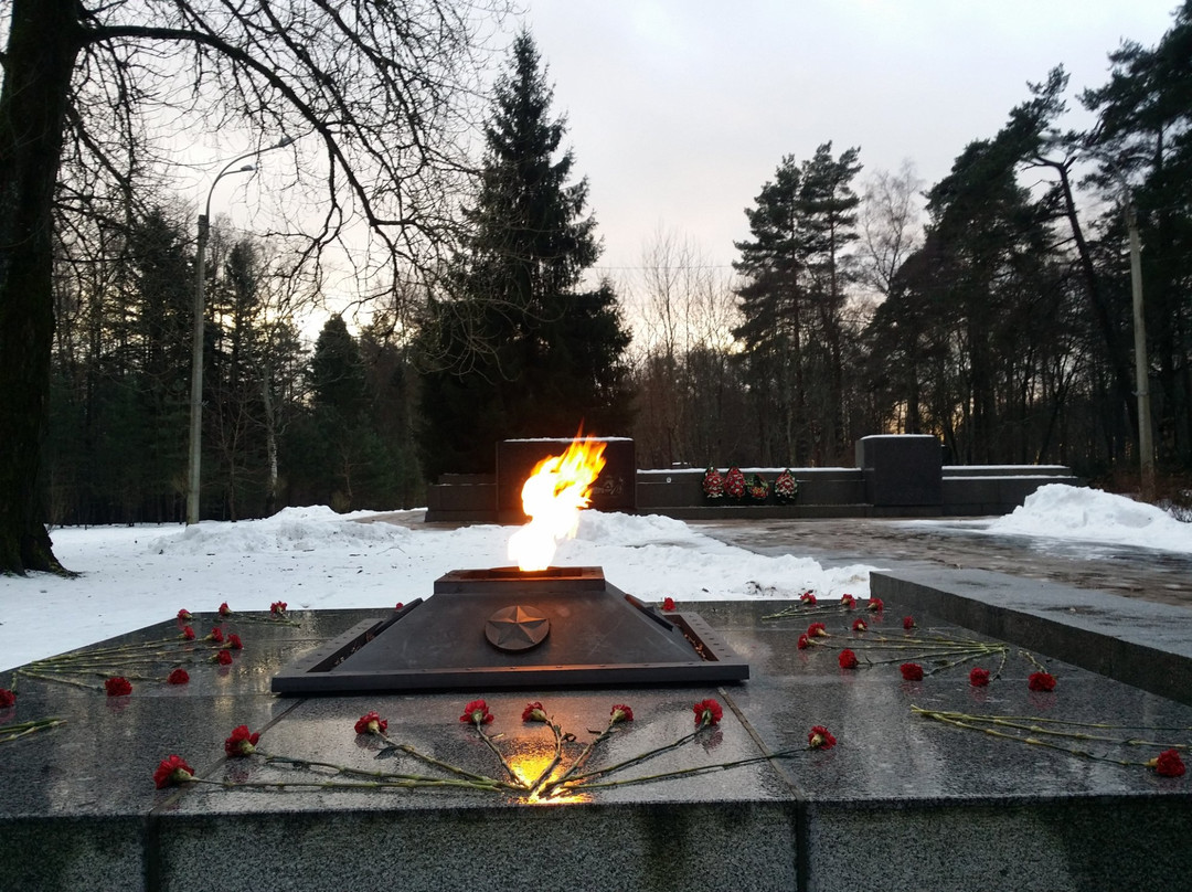 Military Memorial to the Fallen景点图片