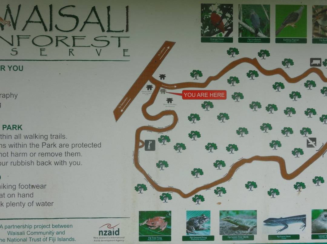 Waisali Rainforest Reserve-萨武萨武必去景点