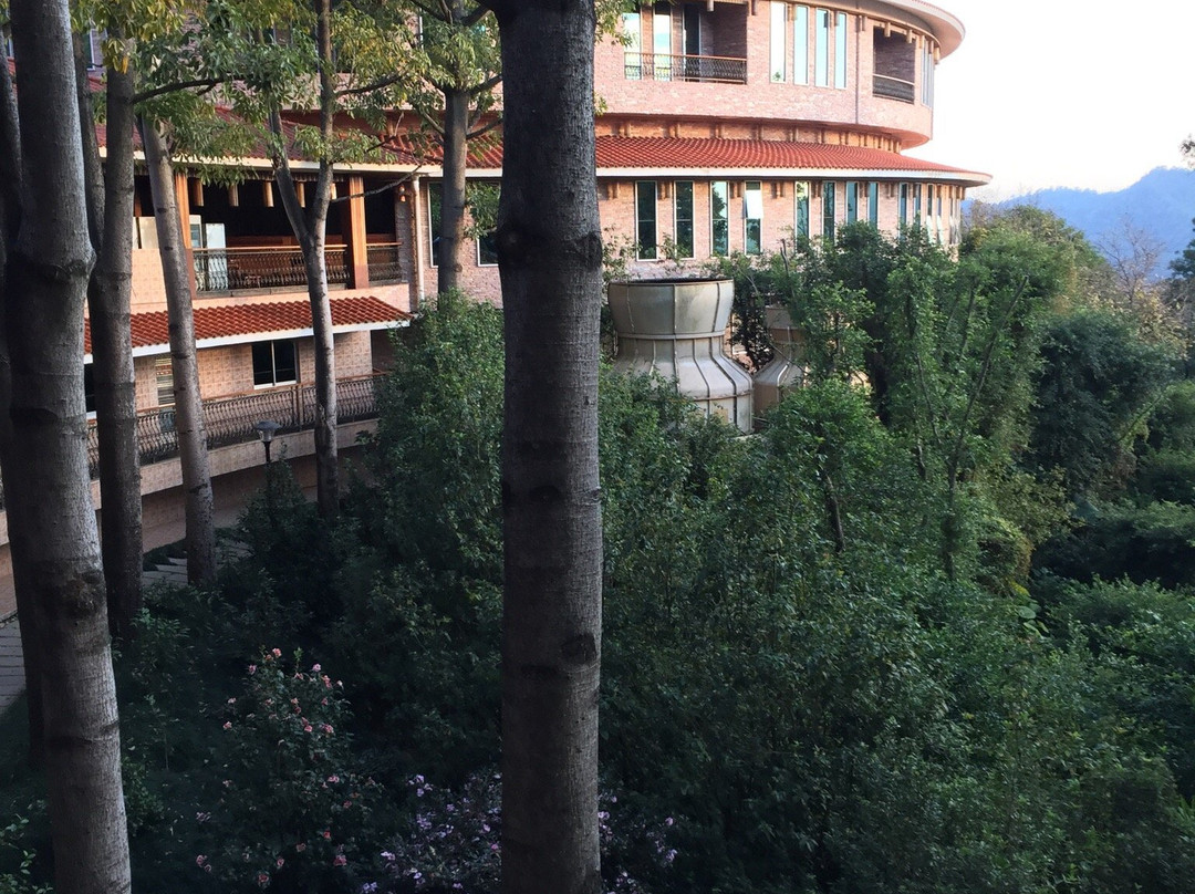 梅州雁南飞茶田度假村-梅县必去景点