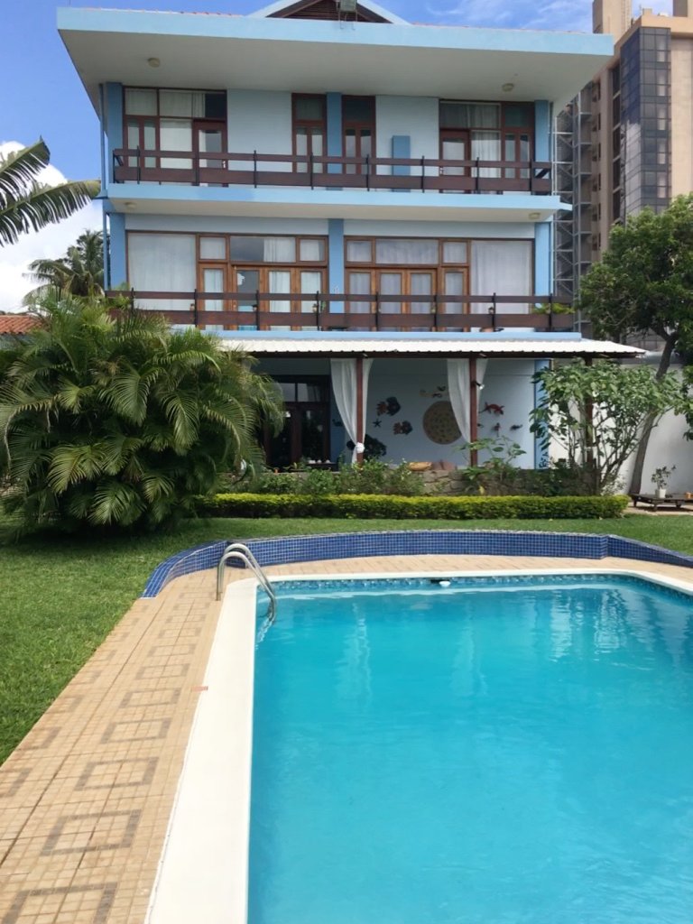 Figtree Guest House-浴室